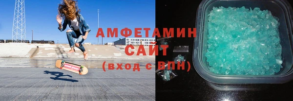 прущие грибы Новозыбков