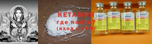 прущие грибы Новозыбков
