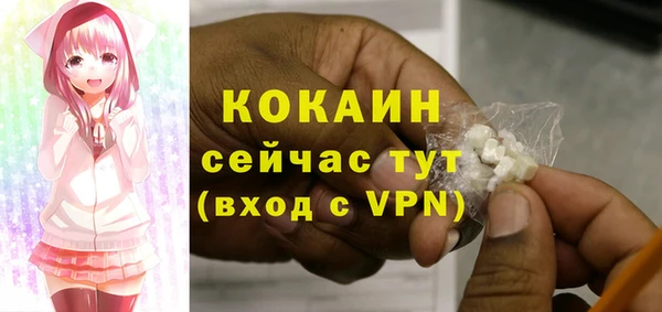 СК Няндома
