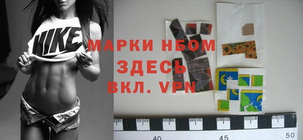 прущие грибы Новозыбков
