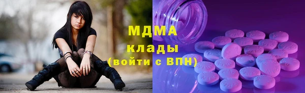 прущие грибы Новозыбков