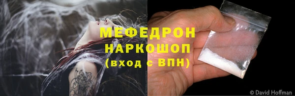 прущие грибы Новозыбков