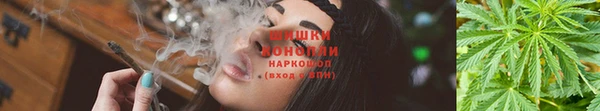 ALPHA PVP Новодвинск