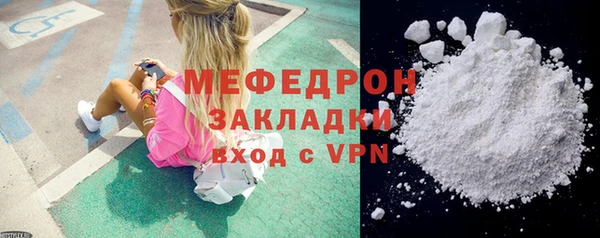 прущие грибы Новозыбков