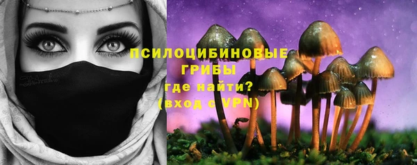 эйфоретик Новокубанск