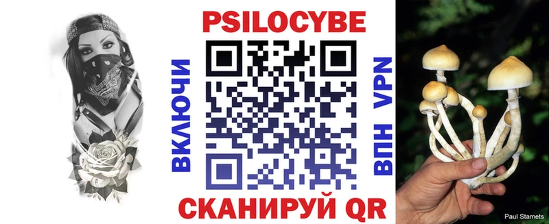 Купить где  Заволжск  Галлюциногенные грибы мухоморы 